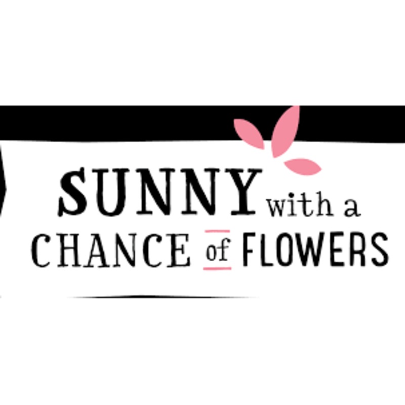 Sunny with a Chance of Flowers Cabernet Sauvignon 750ml