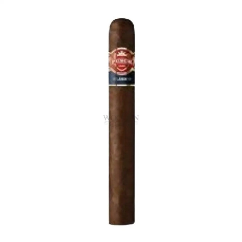 Punch London Club Maduro Petit Corona (5×40)