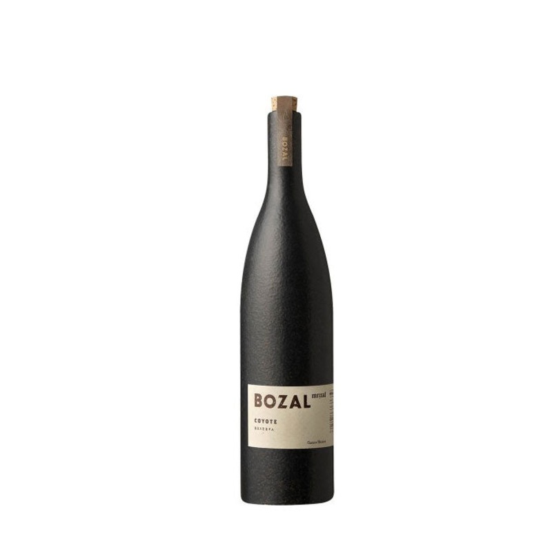 Bozal Coyote