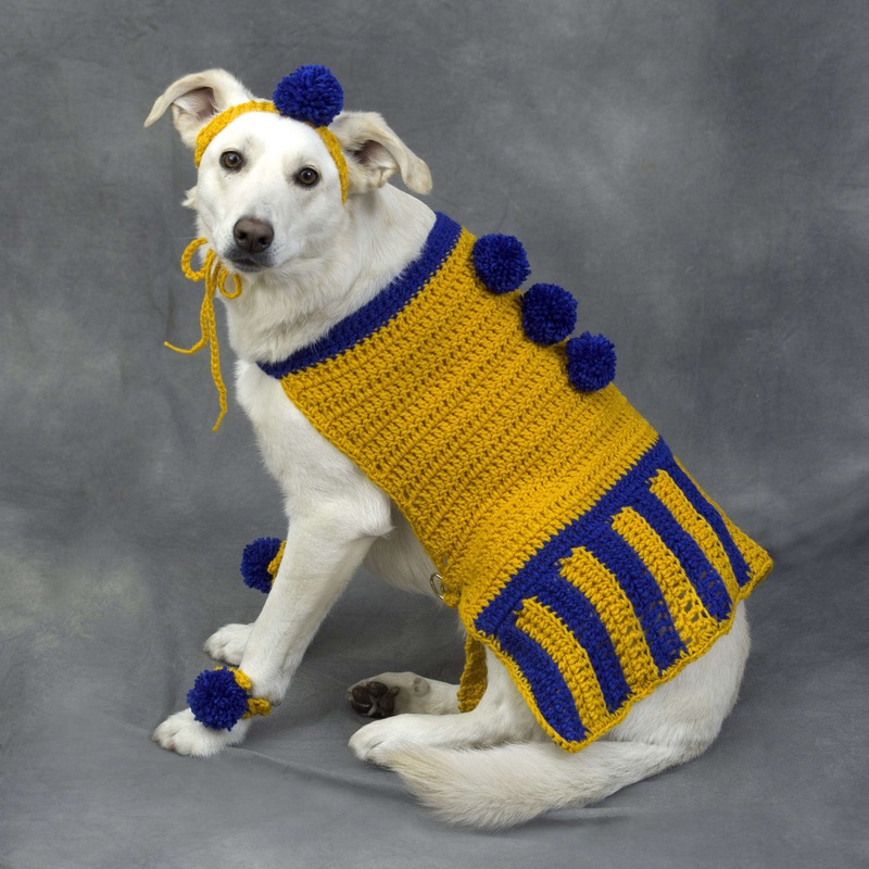 Red Heart Crochet Cheerleader Dog Outfit