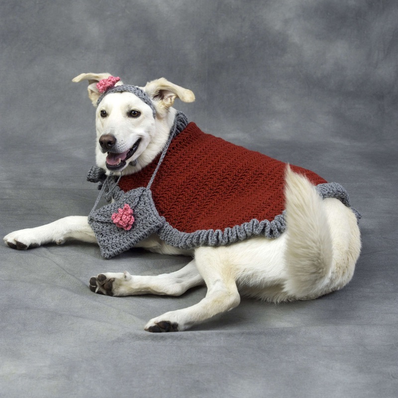 Red Heart Crochet Diva Dog Outfit