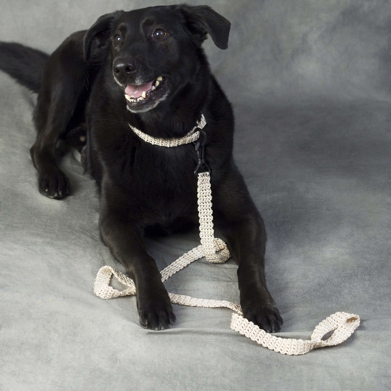Red Heart Crochet Dog Leash & Collar