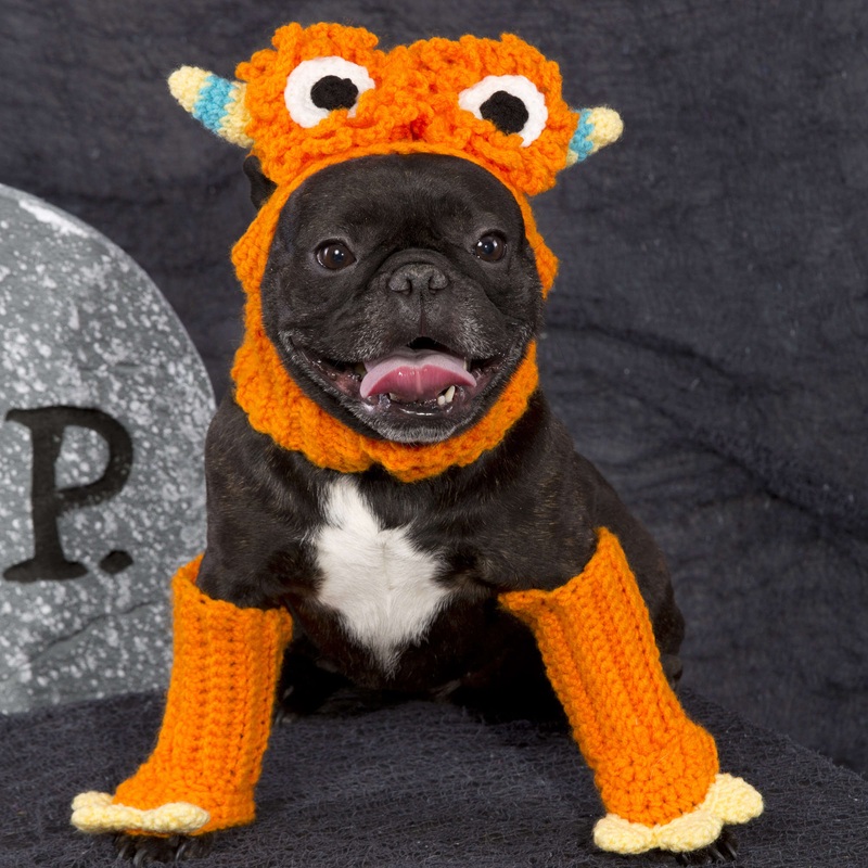 Red Heart Crochet Dog Monster Costume
