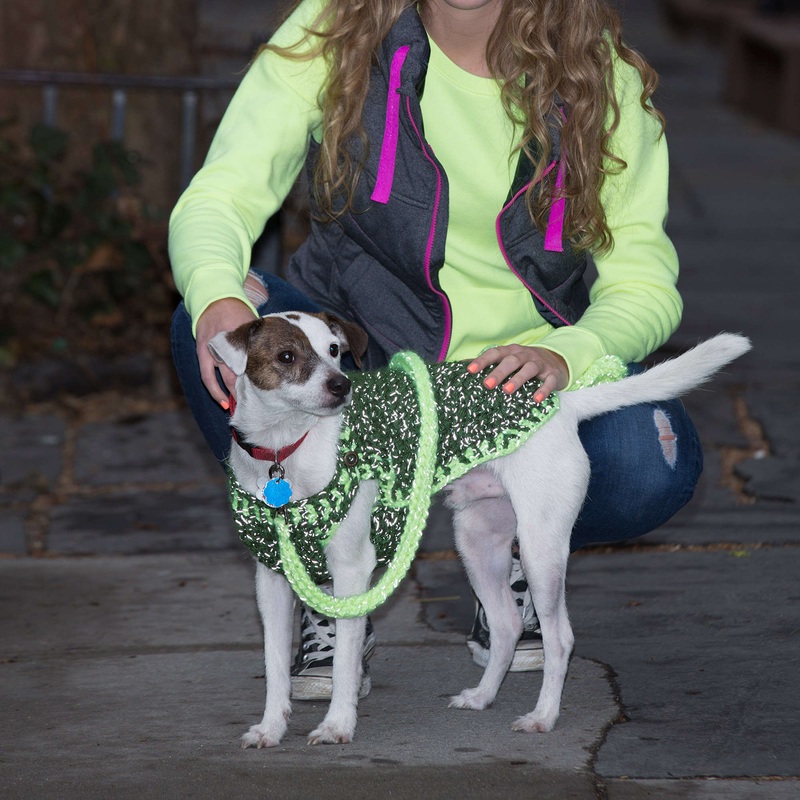 Red Heart Crochet Flashy Dog Sweater and Leash