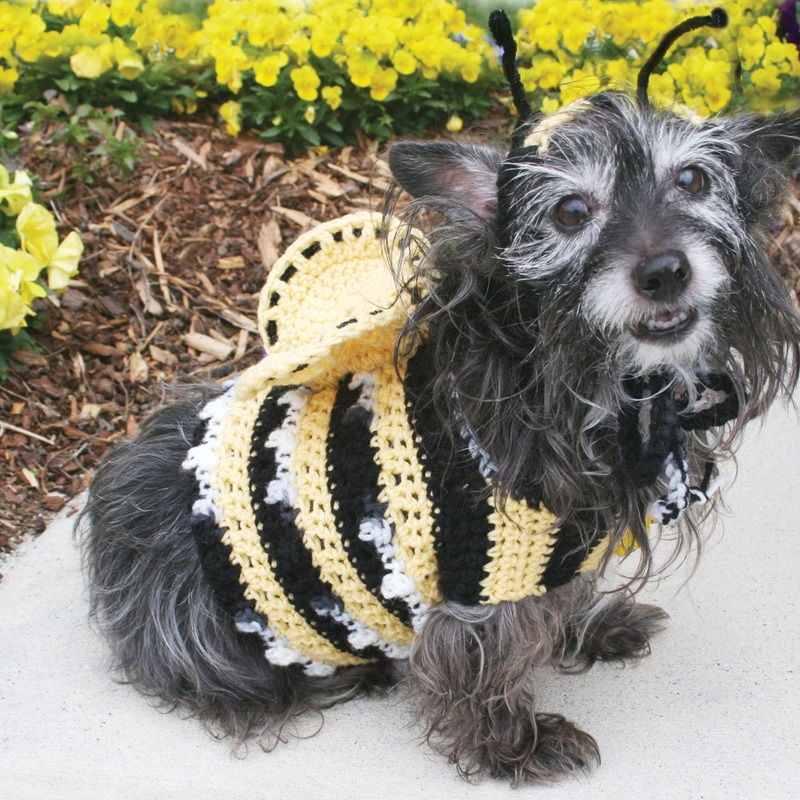 Red Heart Dog’s Crochet Bumble Bee Costume