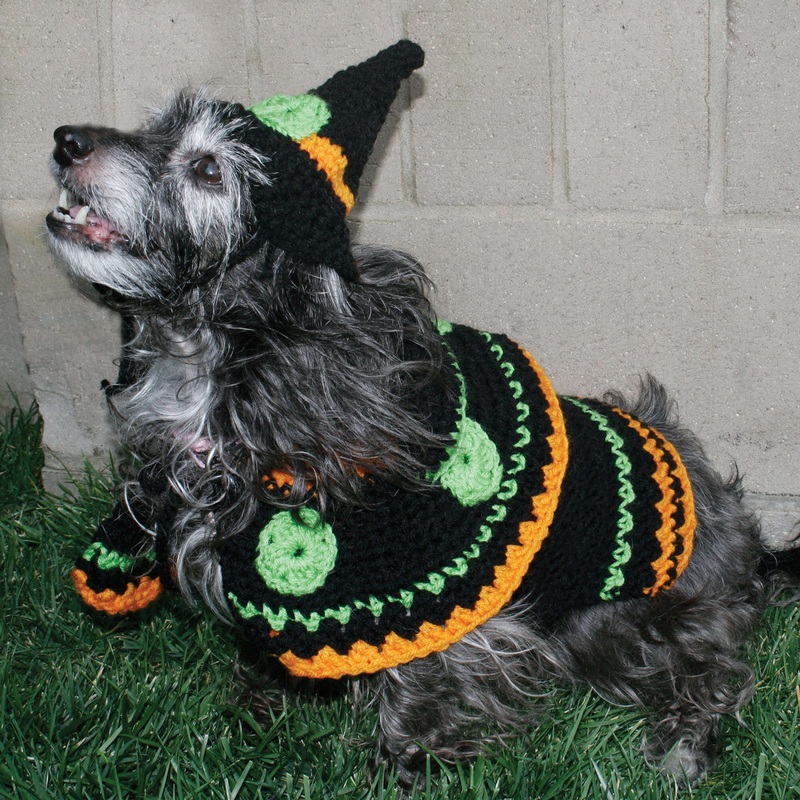 Red Heart Dog’s Crochet Witch Costume