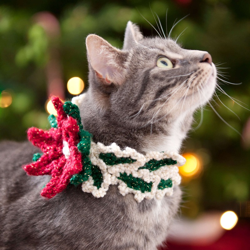 Red Heart Crochet Holiday Cat Collar