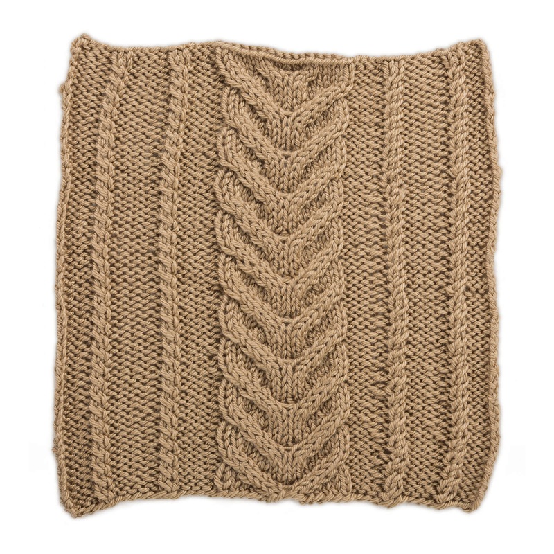 Red Heart Horseshoe Panel With Twists Square for Knit Your Cables Afghan