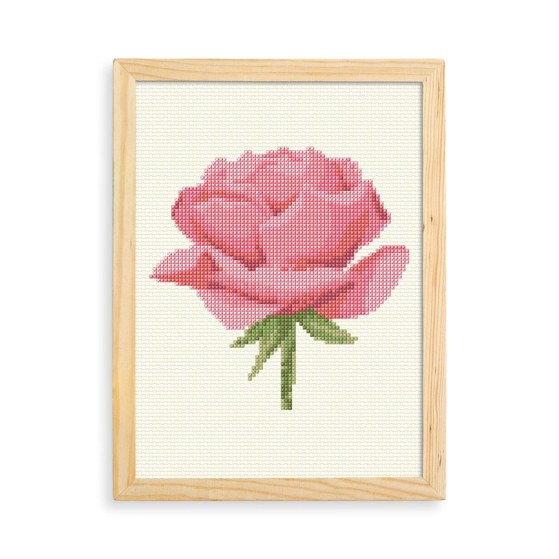 Anchor Embroidery Rose Cross Stitch Design