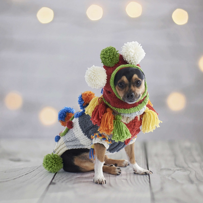 Red Heart LetS OGo Crazy Knit Dog Sweater Set
