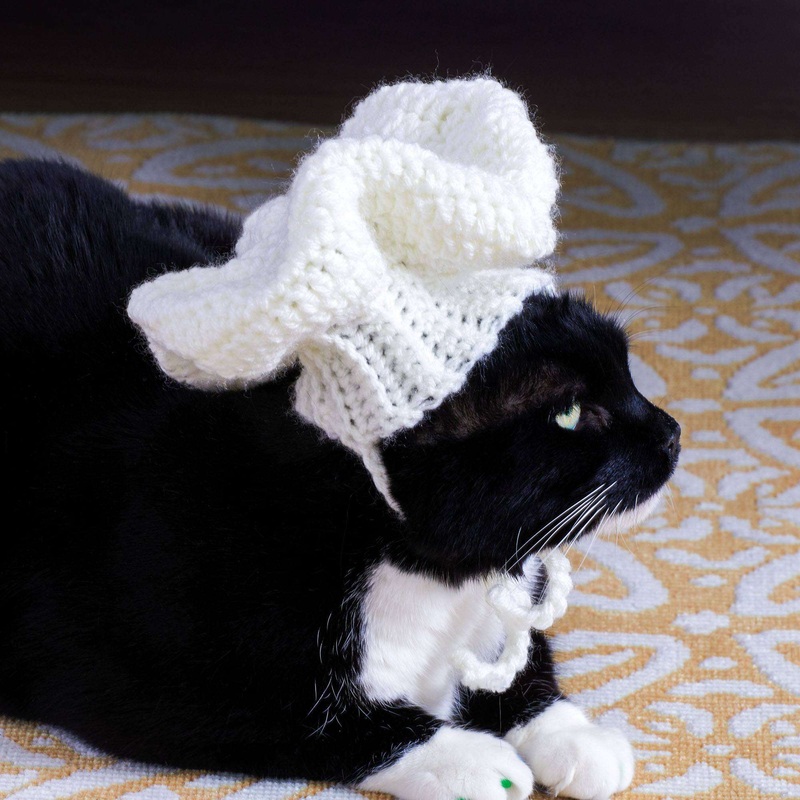 Red Heart Crochet Pet Chef Hat