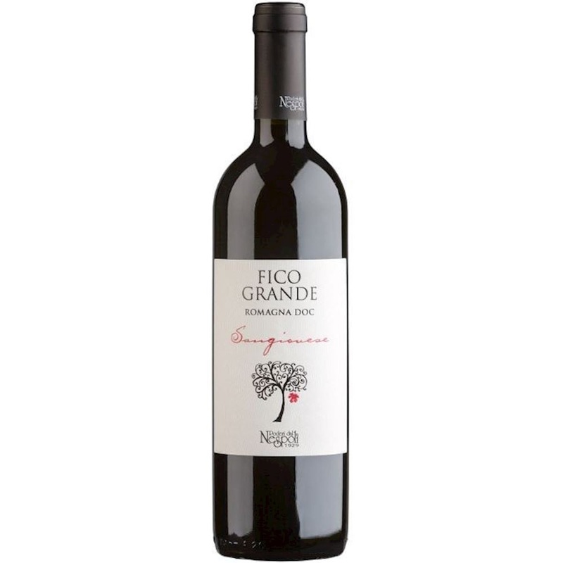Poderi dal Nespoli Fico Grande Sangiovese di Romagna Superiore 2020