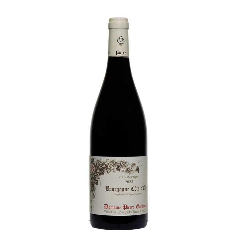Domaine Pierre Guillemot Bourgogne Cote d’Or 2023