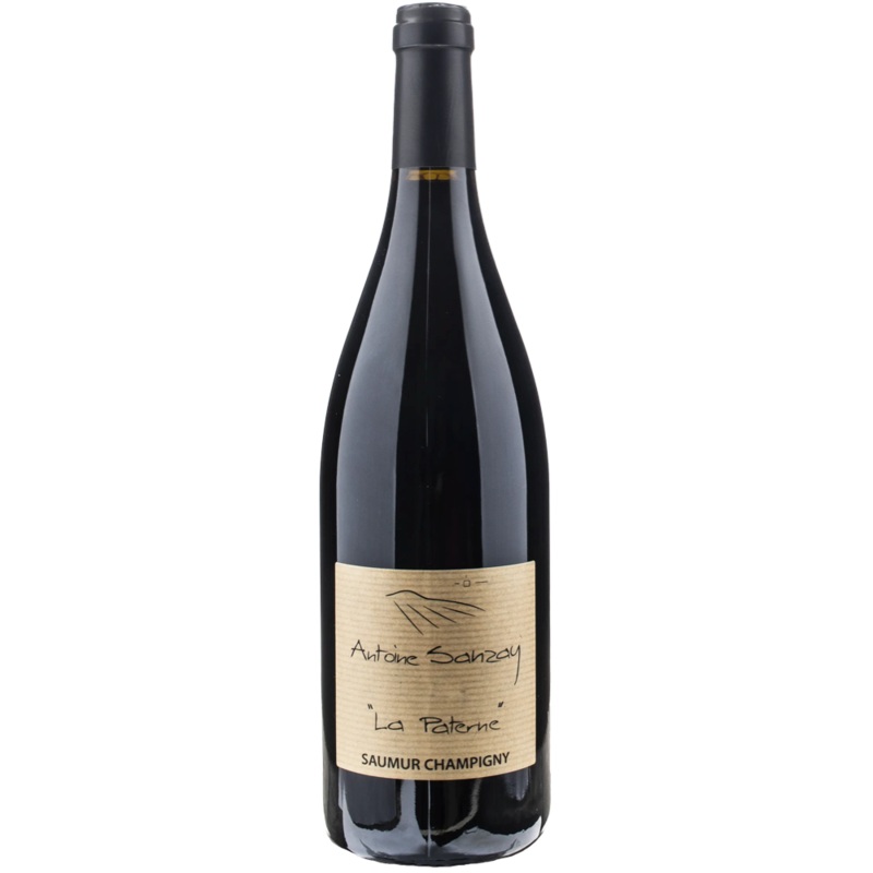 Domaine Antoine Sanzay Saumur-Champigny La Paterne 2023