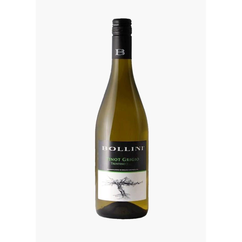 Bollini Pinot Grigio Trentino 2023