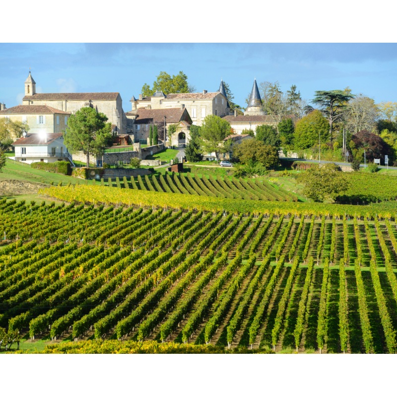 Bordeaux Festival|General Admission