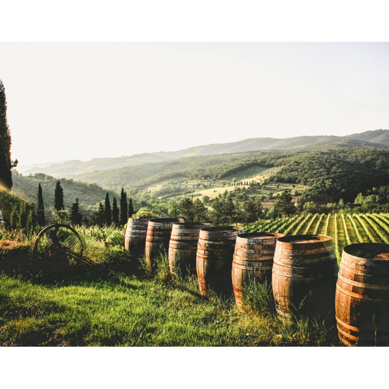 Italian Festival|General Admission