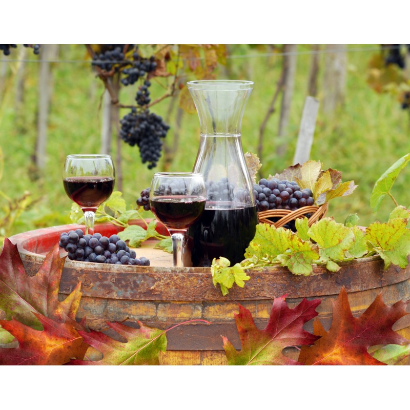 TasteDay Thursday: Pinot, Please