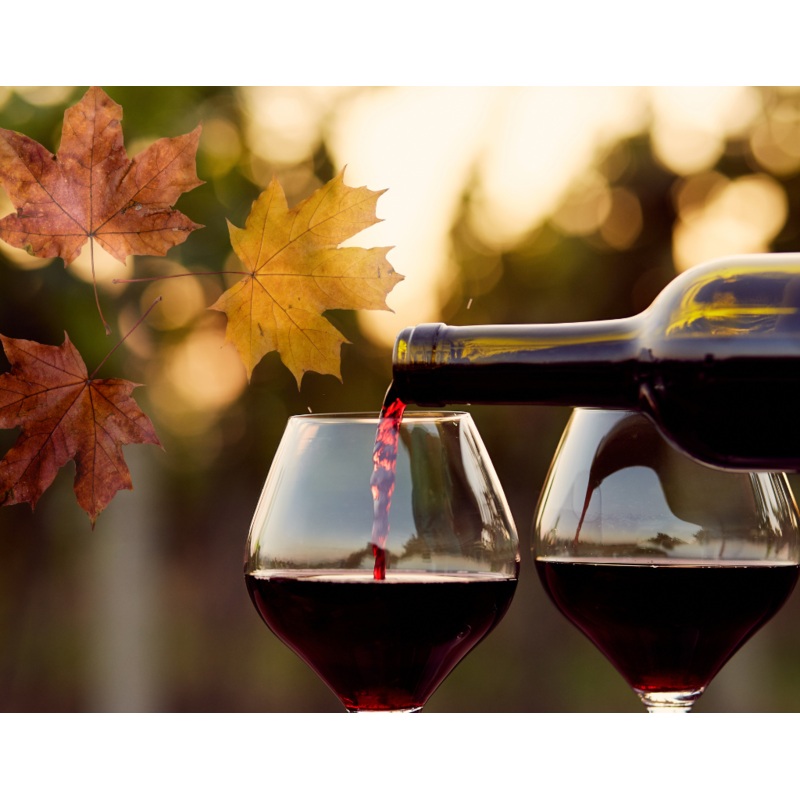 TasteDay Thursday: Pour Some Pinot