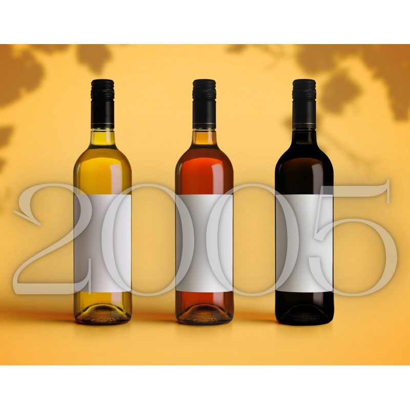 Vintage 2005 Bordeaux Masterclass