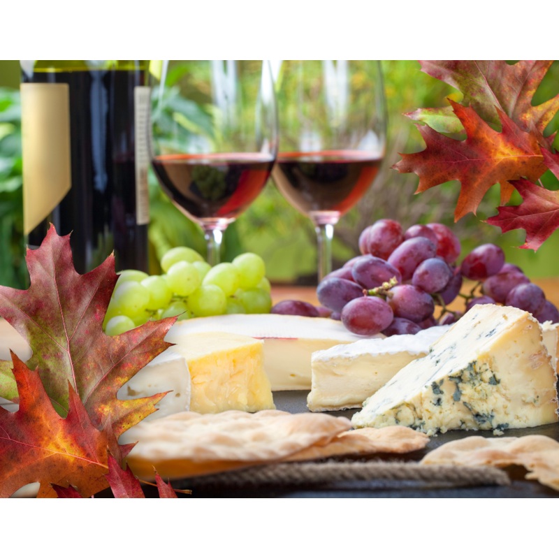 Harvest Wine & Cheese|General Admission