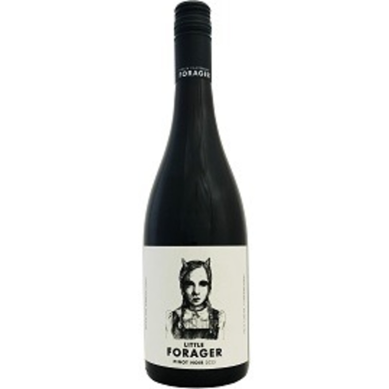 Little Forager Pinot Noir 2023
