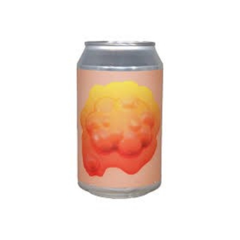Omnipollo Fruit World Famous Raspberry Pie Sour 330ml