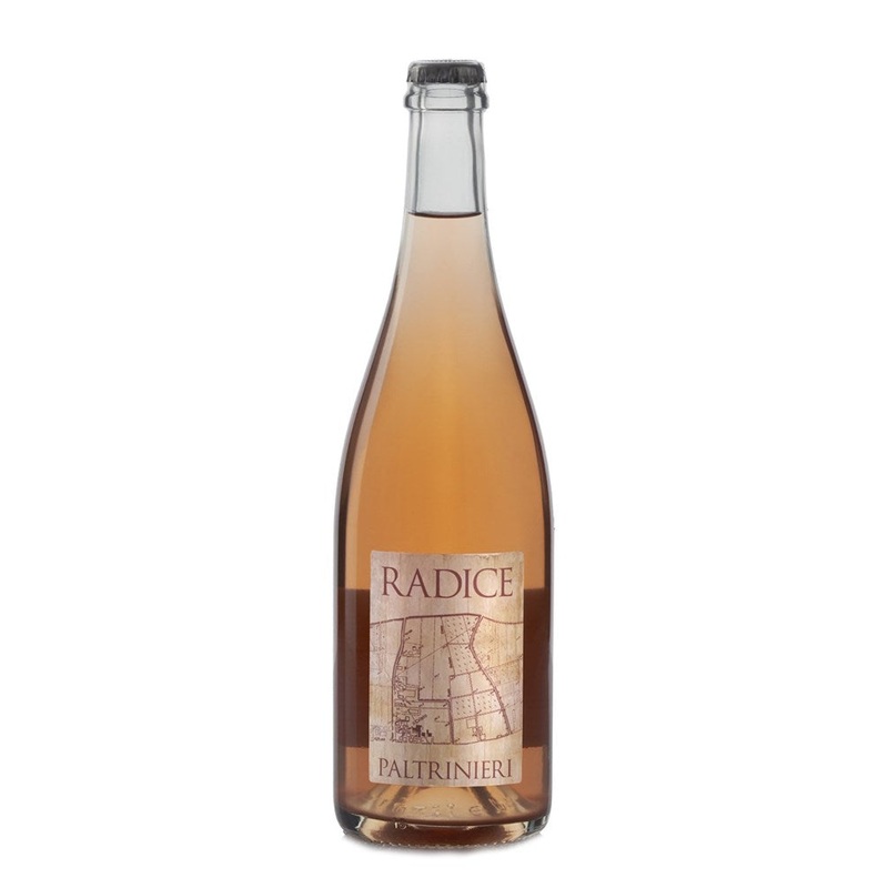 Radice Paltrinieri Lambrusco Ancestrale