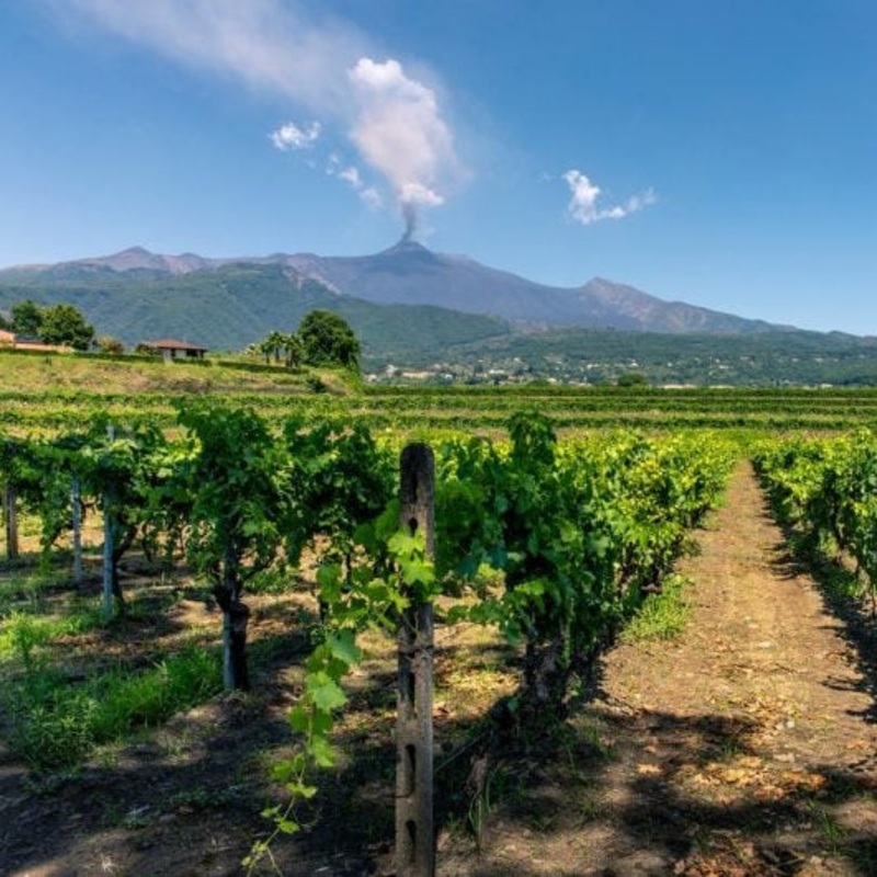 Artigiano nel Mezzogiorno – Artigiano Heads South – Thursday 2 October, 6pm, $55